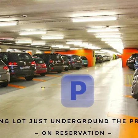 Life Voyage & - Strasbourg's Center Luxury Experience Apartmán Štrasburk